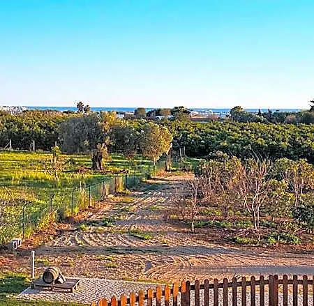 Quinta Da Bornacha - Casa A Hotel